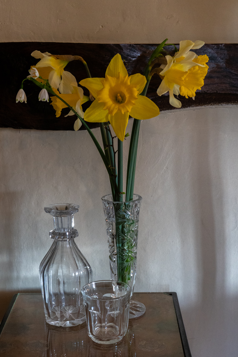 Photography by Chris Allington